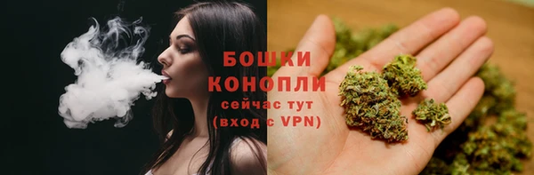 spice Баксан