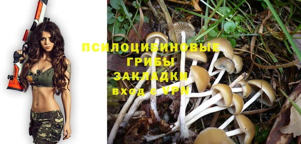spice Баксан