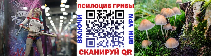 KRAKEN сайт  Североморск  Псилоцибиновые грибы мухоморы  купить  