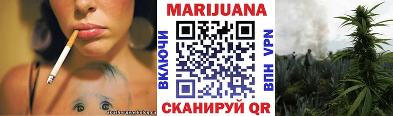 Бошки Шишки план  Североморск 
